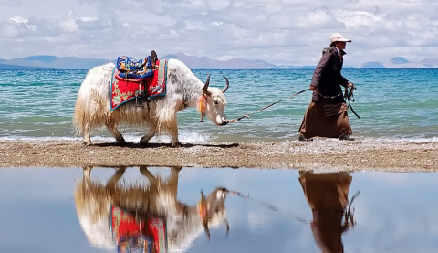 Tibet